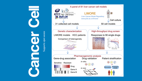 李亦学研究组合作绘制肝癌药物基因组学的“蓝图”