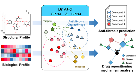大数据中心合作发布基于化合物抗纤维化特征的药物重定位平台