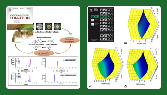 武爱波研究组在基于木霉的真菌毒素脱毒转化、玉米原料中真菌毒素污染风险预警等方面取得研究进展