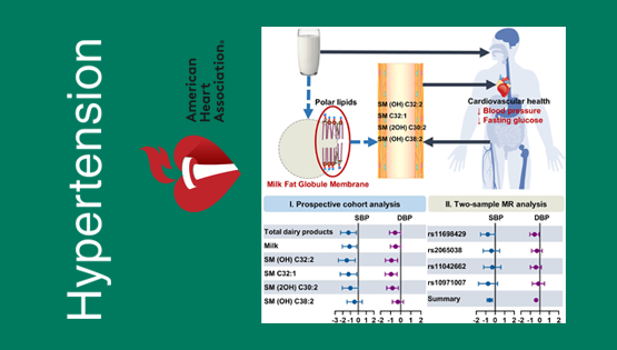 营养与健康所林旭、宗耕研究组在奶制品的脂质组生物标记物与心血管疾病风险因素研究方面取得进展