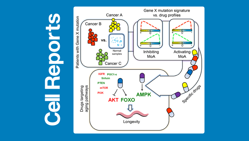 韩敬东研究组构建基于癌症基因组学的非组织特异标签的药物重定位新方法