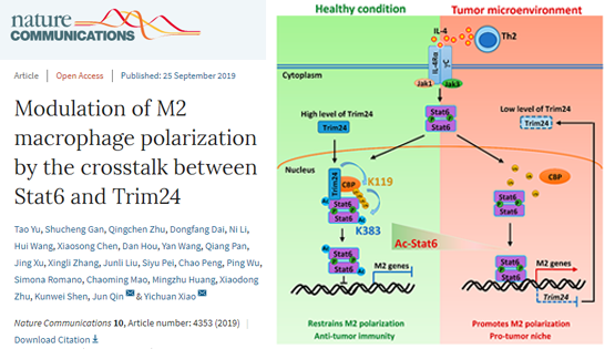 肖意传组合作发现Stat6乙?；骺乜怪琢雒庖叻从Φ男禄? />
                                    </div>
                                    <div   id=