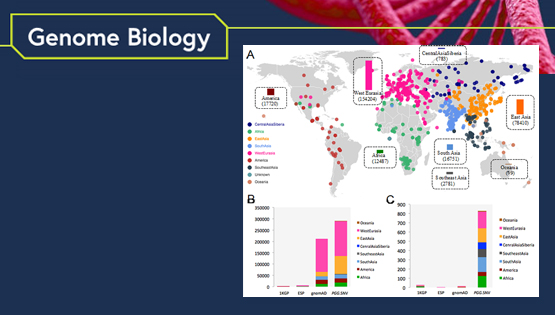 徐书华研究组发布全基因组单核苷酸变异数据库、涵盖近千个现存和古人族群