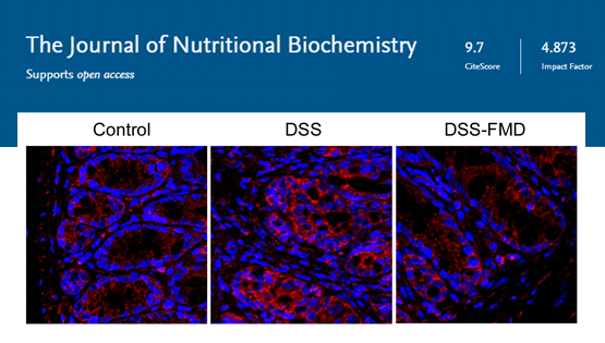 营养与健康所陈雁研究组发现改善炎症性肠?。↖BD）的营养干预方法
