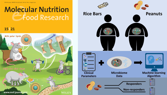 营养与健康所陈雁、林旭研究组利用肠道菌群分析和机器学习算法揭示精准营养在干预代谢综合征中的作用