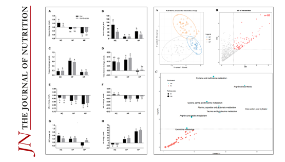 营养与健康所林旭研究组在不同膳食、体重和运动影响能量消耗、临床和代谢组学标记物改变的干预研究进展