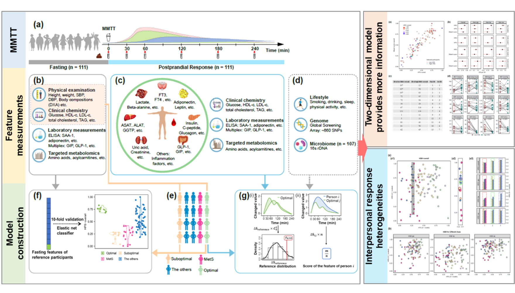 营养与健康所林旭团队牵头绘制二维“健康状况图谱”，在代谢健康评估方面取得开拓性进展