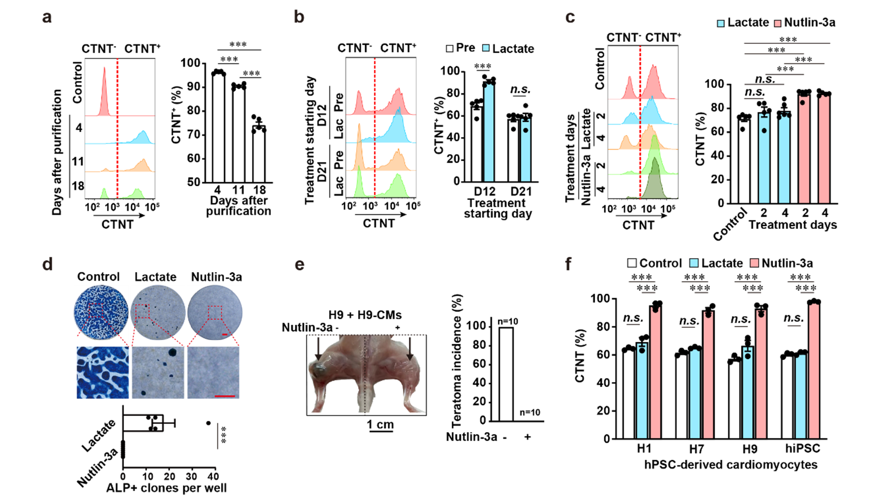 营养与健康所杨黄恬研究组建立简便、高效的人多能干细胞分化的心肌细胞纯化方法